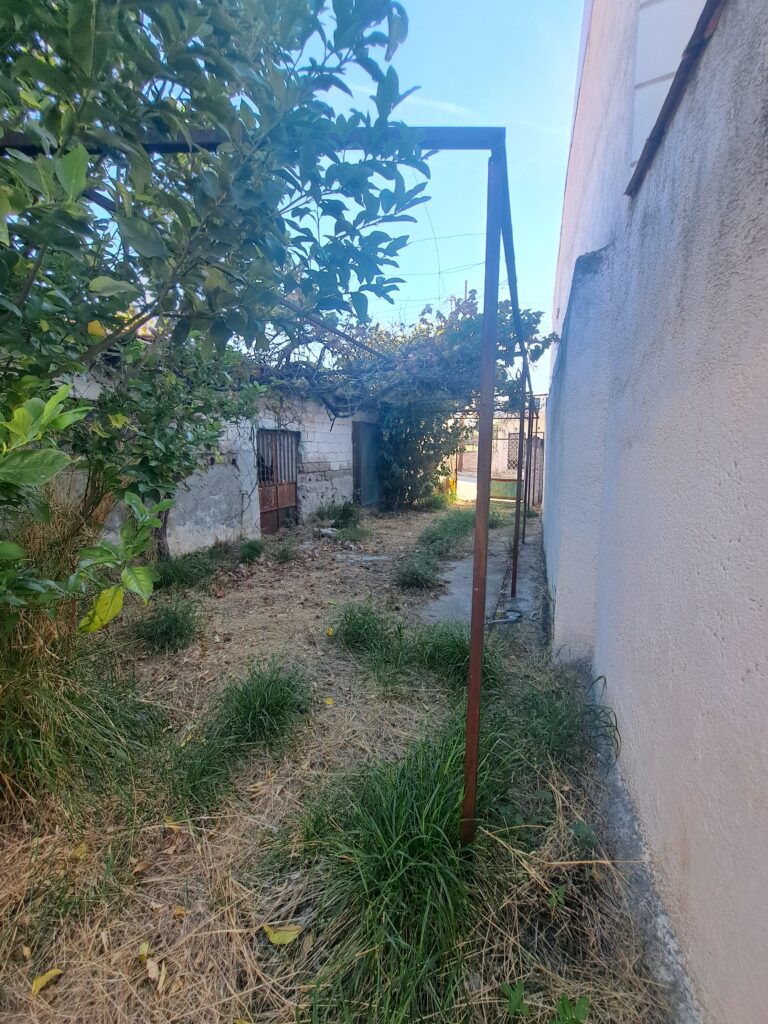 20241015_104547