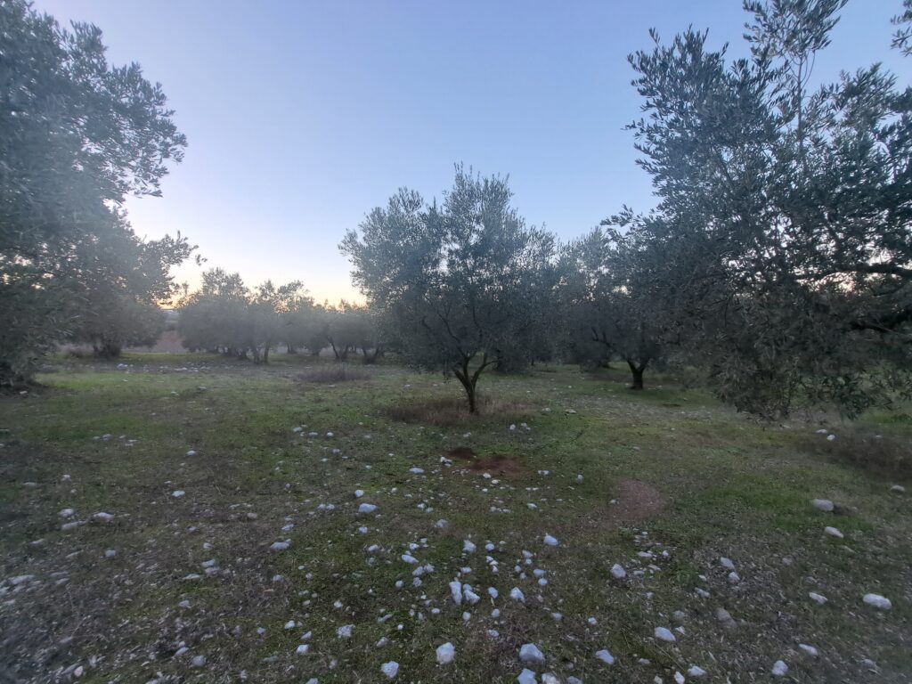 20241218_164706