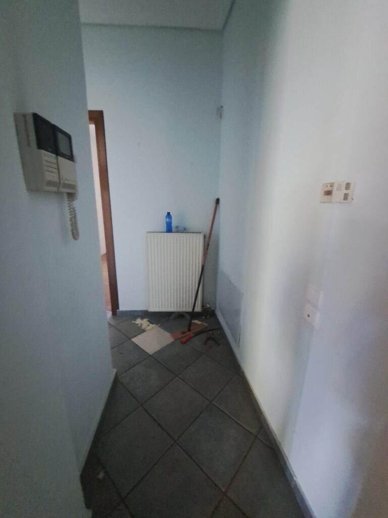 20250307_113536