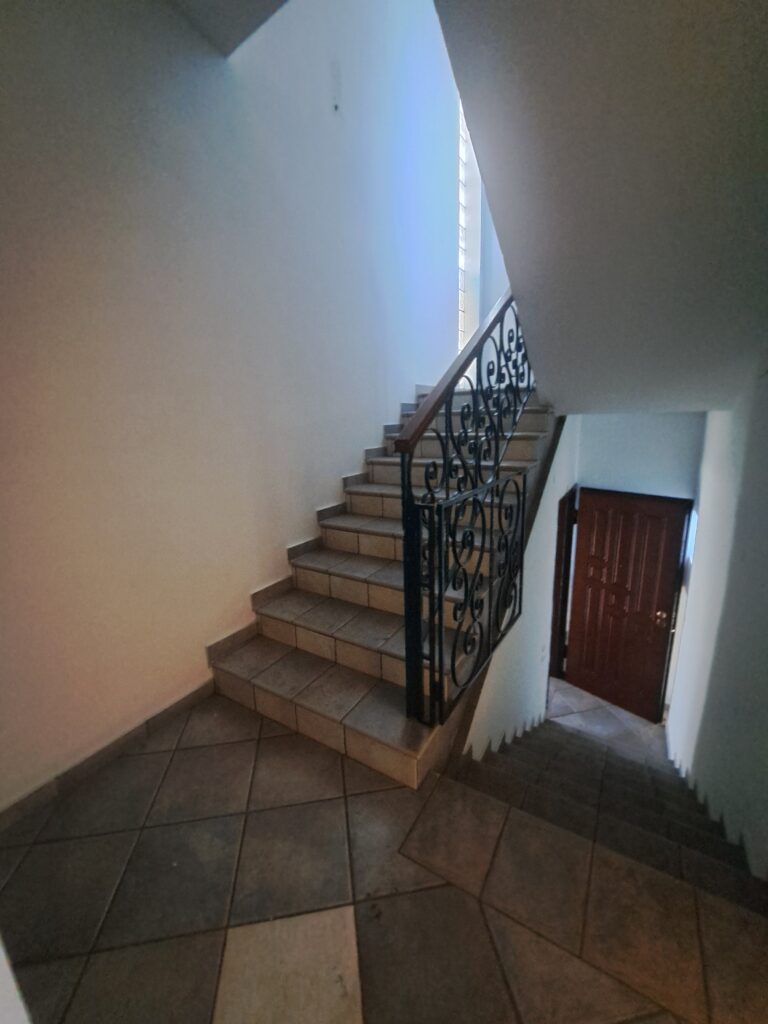 20250307_113649