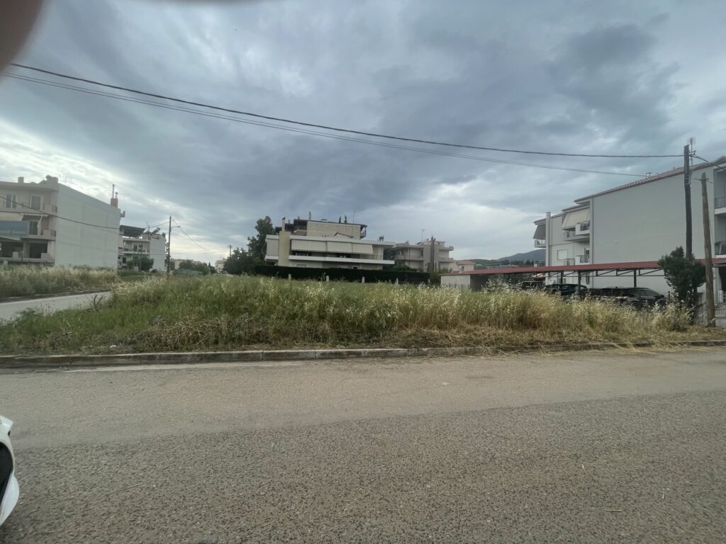 IMG-128dfc1c7e1a8cdd384fa1a780026122-V