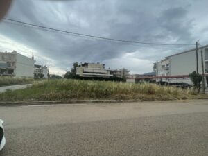 IMG-128dfc1c7e1a8cdd384fa1a780026122-V
