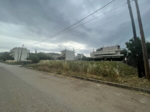 IMG-2d736d28c0ded453bdb9b81f554a24a2-V