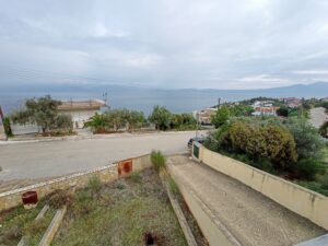 oplus_0