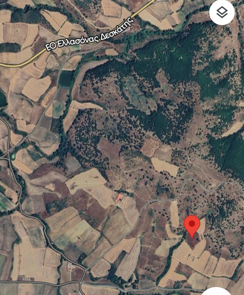 1000047774