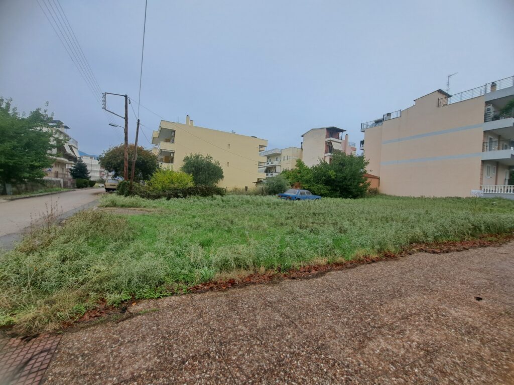 20251022_114830
