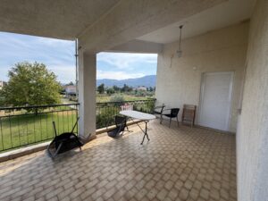 IMG_0337