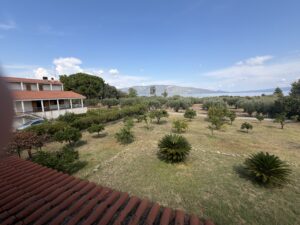 IMG_0340