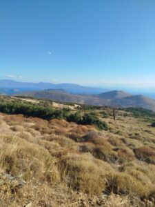 IMG_0463