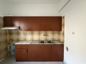 IMG_0545